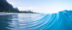aio Hawaii, about us